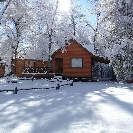 Cabanas Bafemadi Las Trancas Bagian luar foto