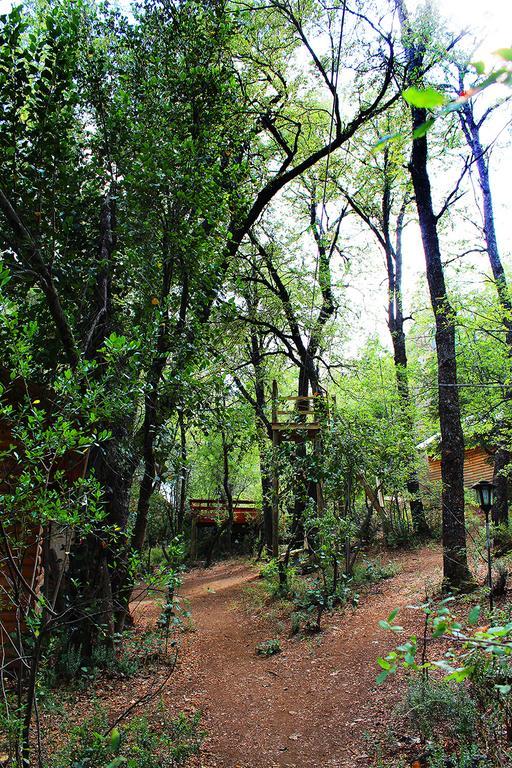 Cabanas Bafemadi Las Trancas Bagian luar foto