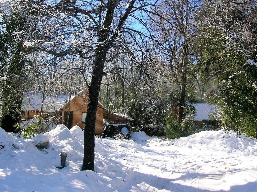 Cabanas Bafemadi Las Trancas Bagian luar foto