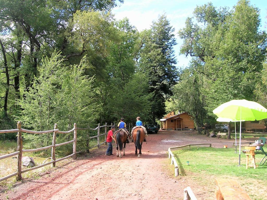 Cabanas Bafemadi Las Trancas Bagian luar foto