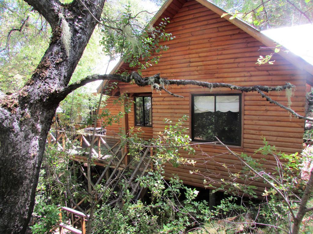 Cabanas Bafemadi Las Trancas Bagian luar foto