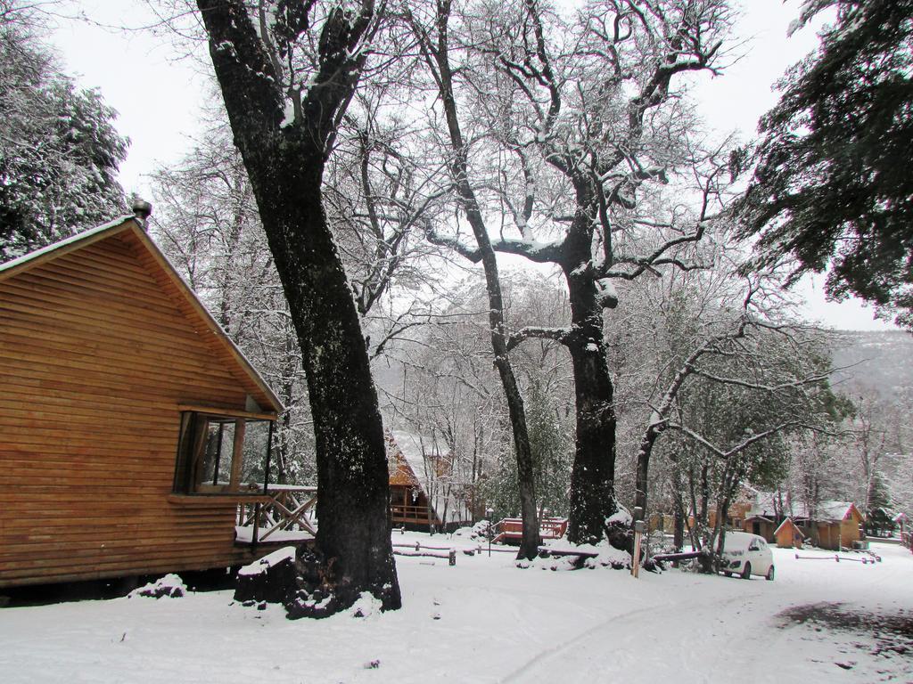 Cabanas Bafemadi Las Trancas Bagian luar foto