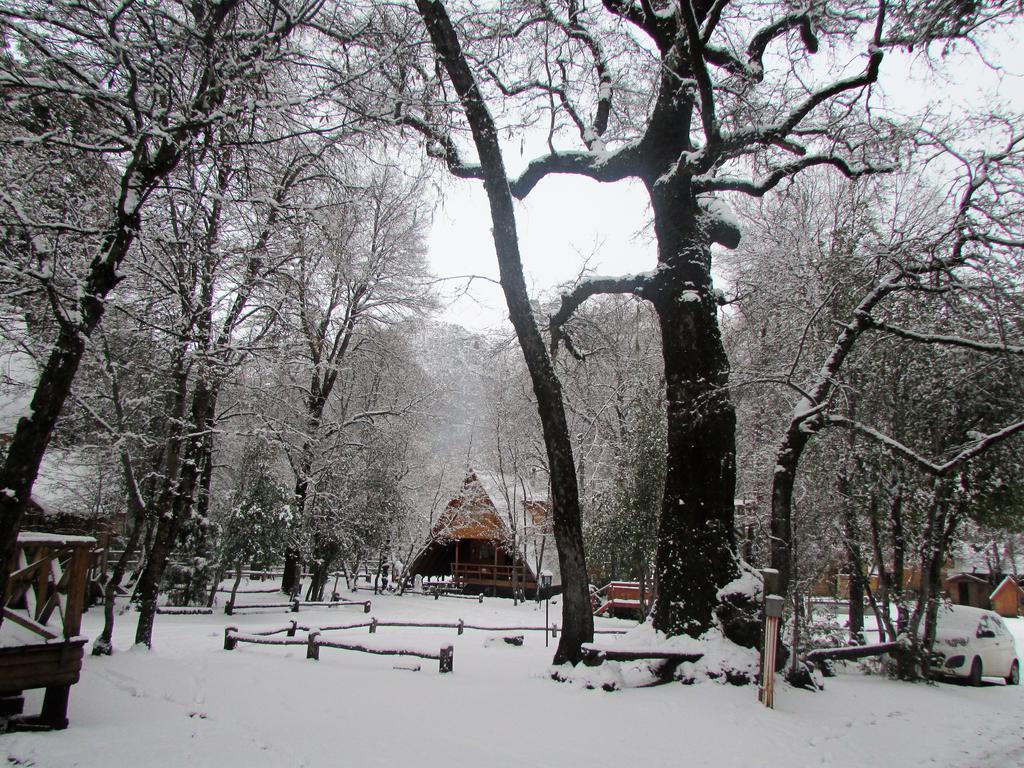 Cabanas Bafemadi Las Trancas Bagian luar foto