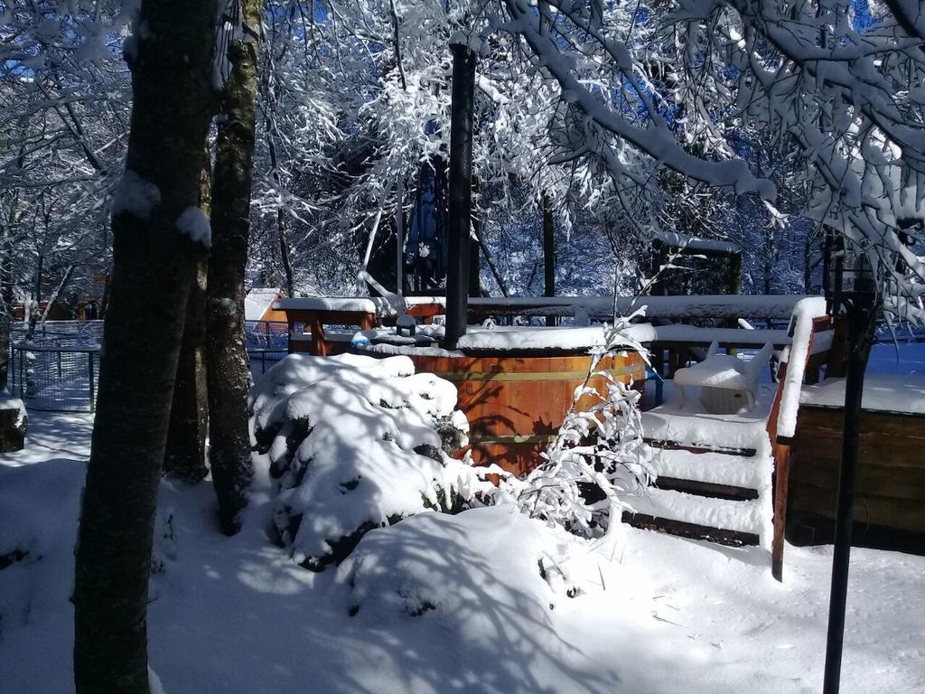 Cabanas Bafemadi Las Trancas Bagian luar foto
