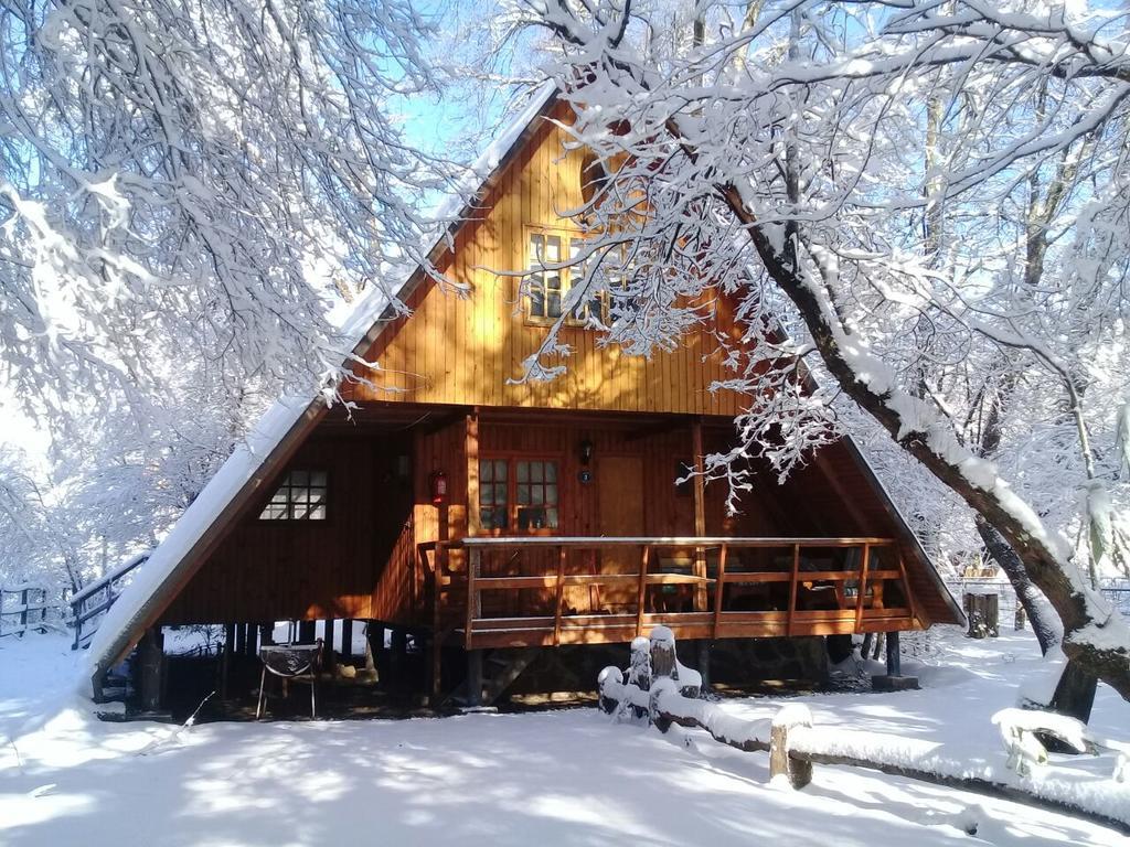 Cabanas Bafemadi Las Trancas Bagian luar foto